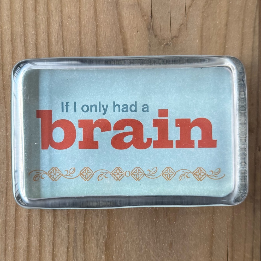 Hallmark The Wizard of Oz “If I only had a brain” Glass Paperweight